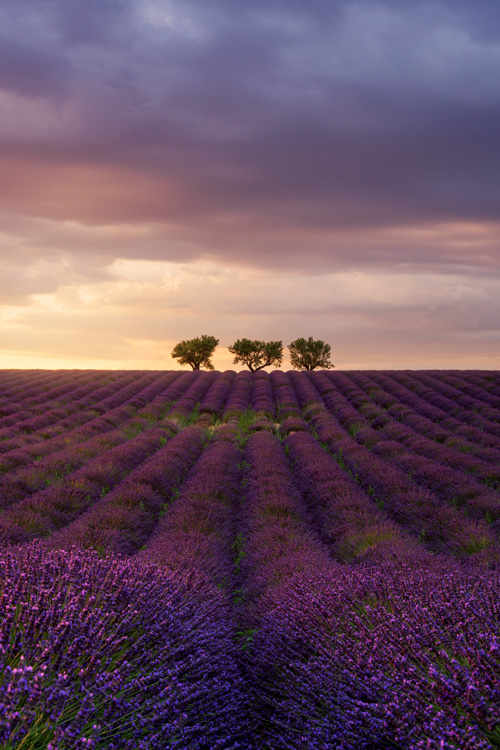 Valensole, France